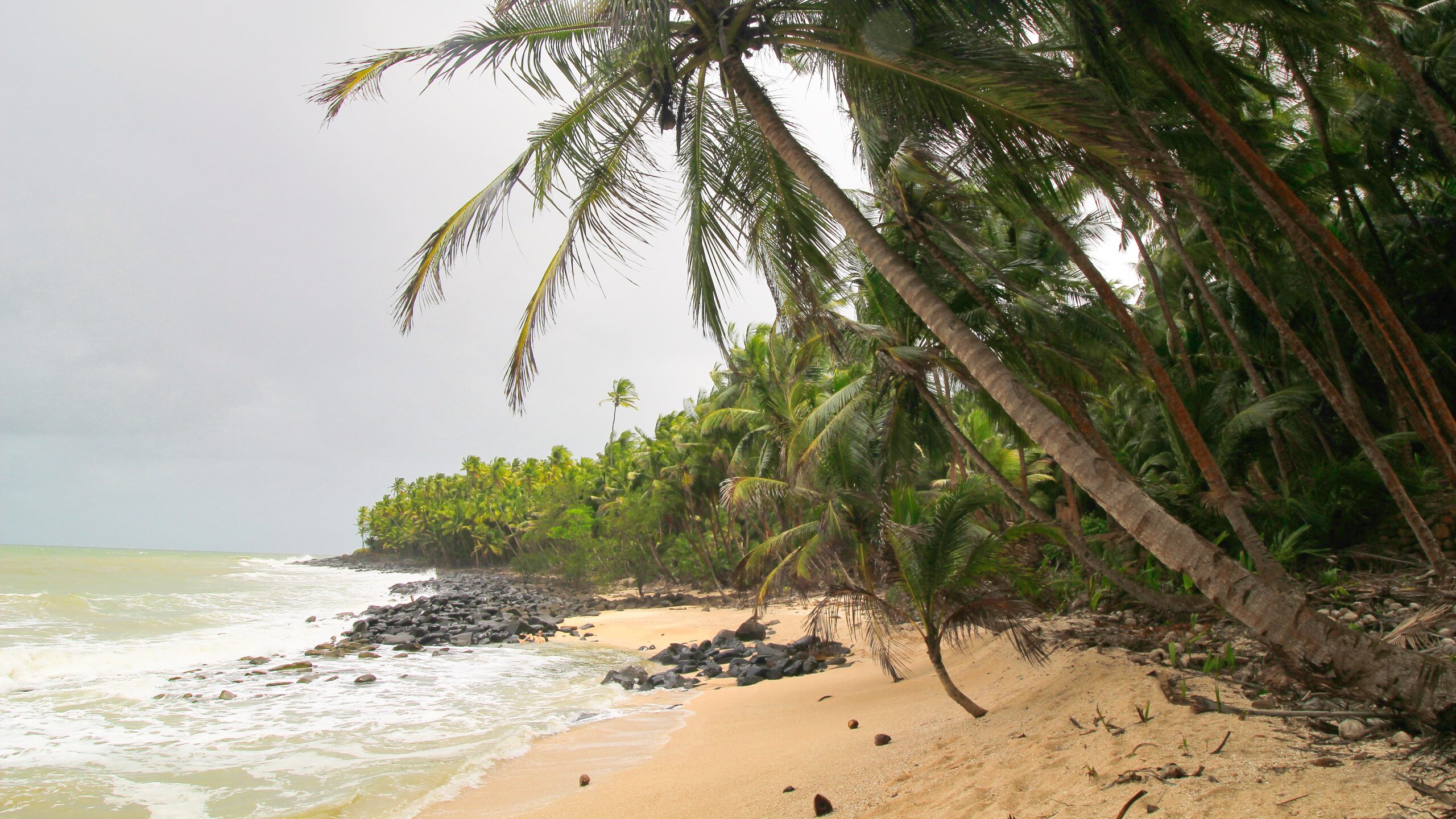 LA GUYANE FRANÇAISE : AU COEUR DE L&rsquo;AMAZONIE