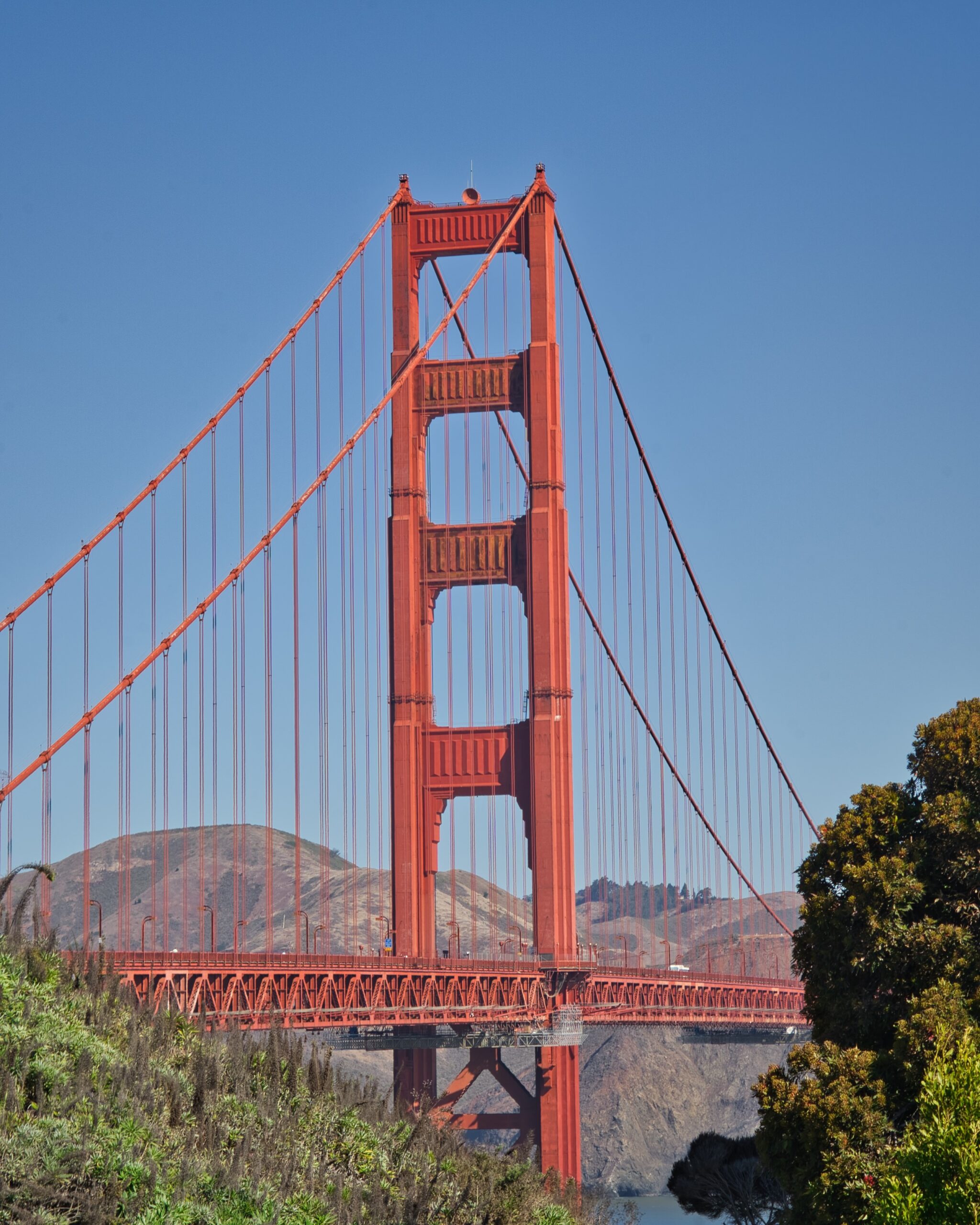 SAN FRANCISCO